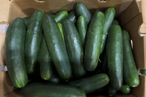 Cucumbers sent to Maryland, Virginia and a dozen other states recalled over salmonella concerns