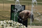 Sweltering heat breaks records with hopes wet weather will bring relief to DC