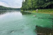 Blue-green algae that can cause skin, eye irritation detected at 2 Montgomery County lakes