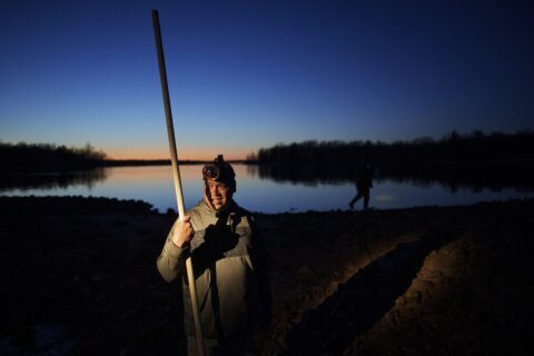 Behind Upper Midwest tribal spearfishing is a long and violent history of denied treaty rights