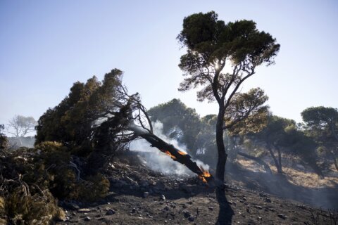 Firefighters battle wildfires on 2 Greek islands as premier warns of a dangerous summer