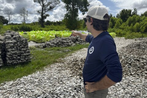 AmeriCorps CEO gets a look at a volunteer-heavy project to rebuild Louisiana’s vulnerable coast.