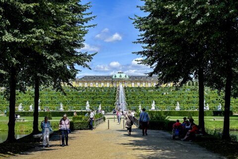 Germany’s Sanssouci Park seeks solutions as its trees struggle with climate change