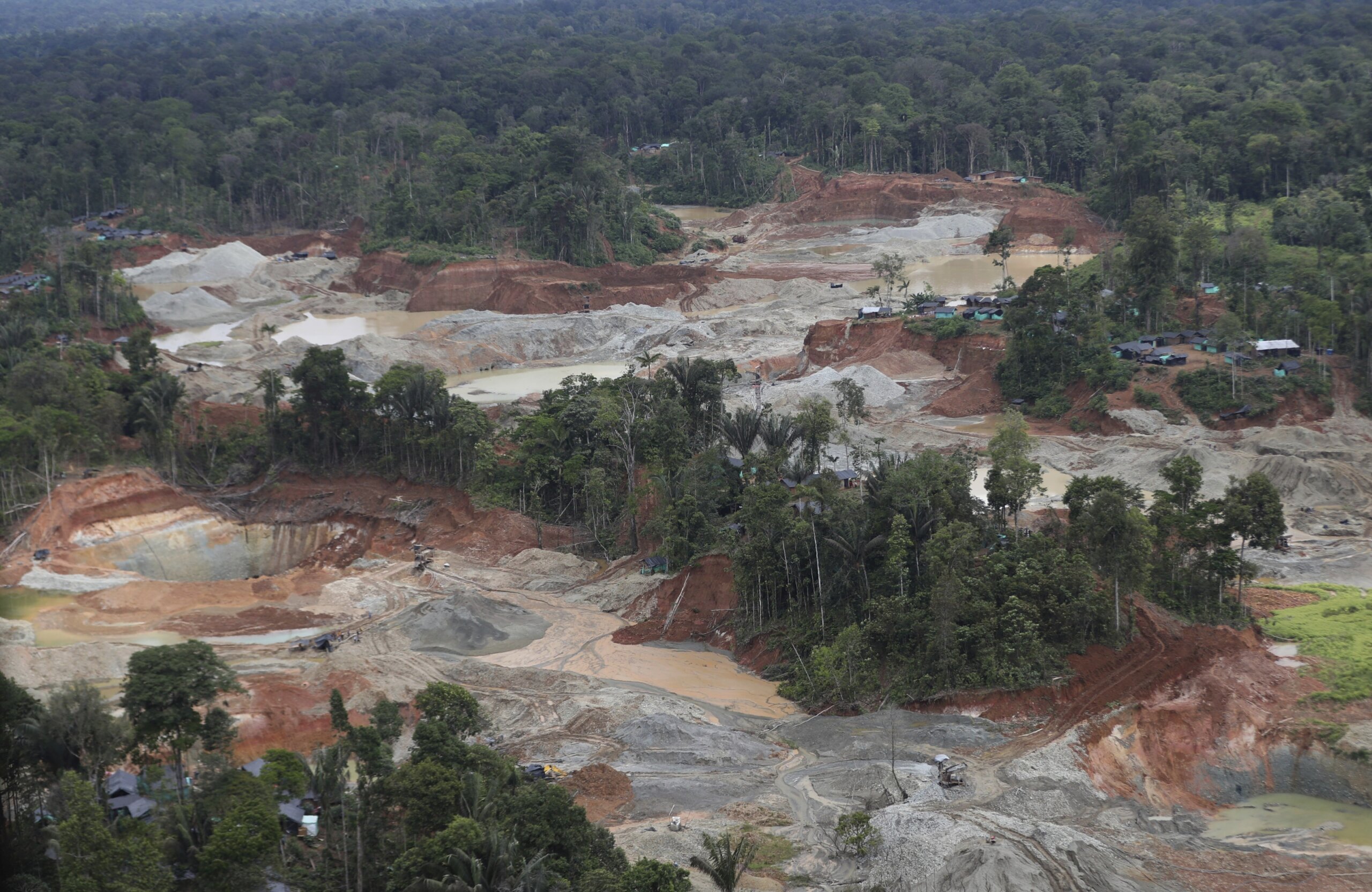 Deforestation in Colombia fell to historic lows in 2023, environment ...