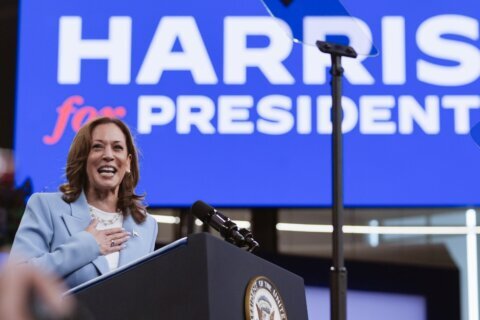The DNC chair said Harris has a delegate majority. This is how its virtual roll call process works