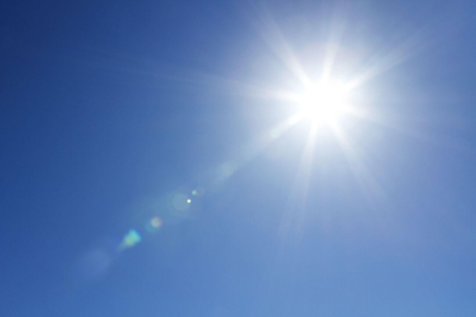Months of record-breaking heat put DC area under drought watch – WTOP News