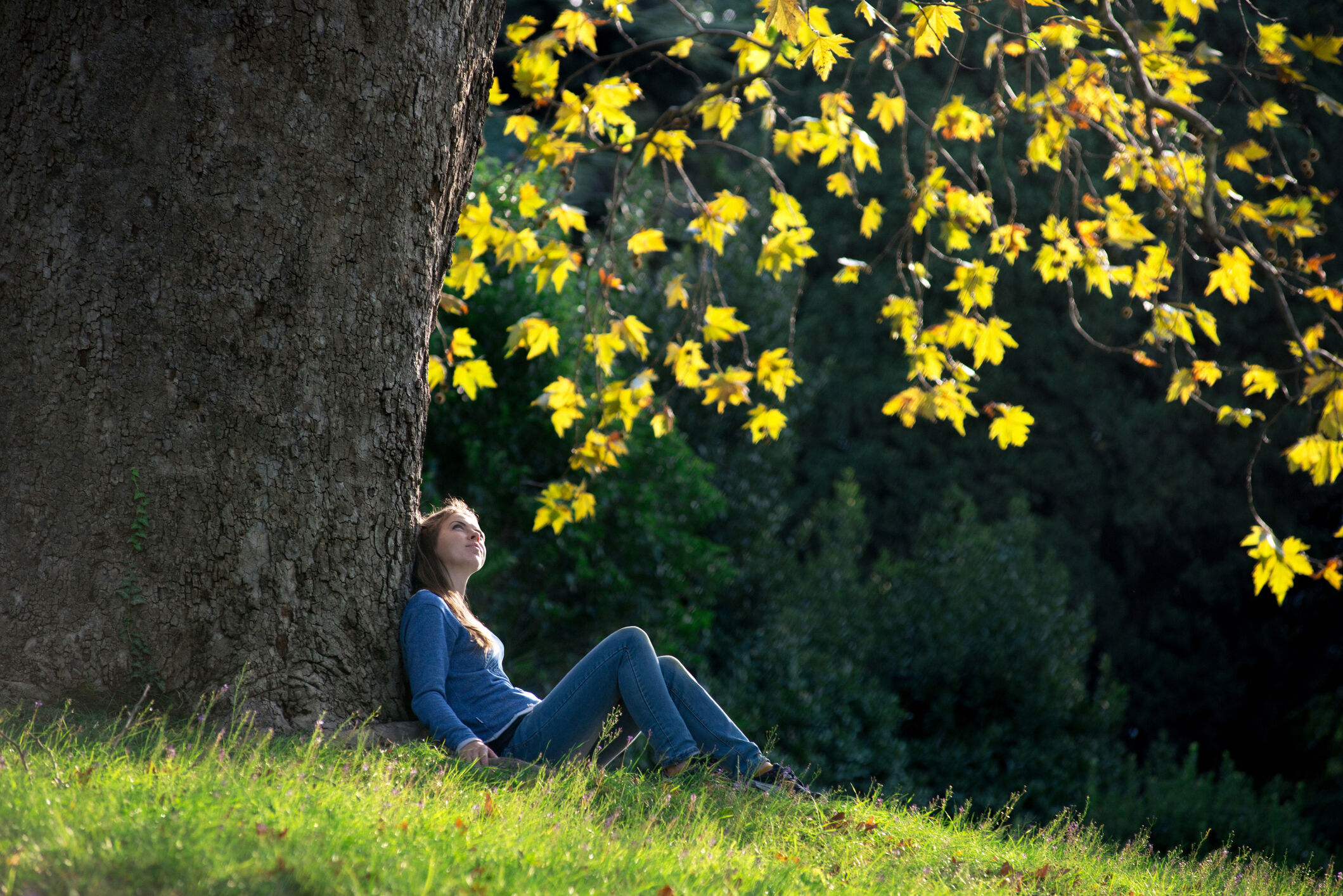 Summertime sadness: Why seasonal depression doesn’t just affect people in winter, and how to avoid it – WTOP News