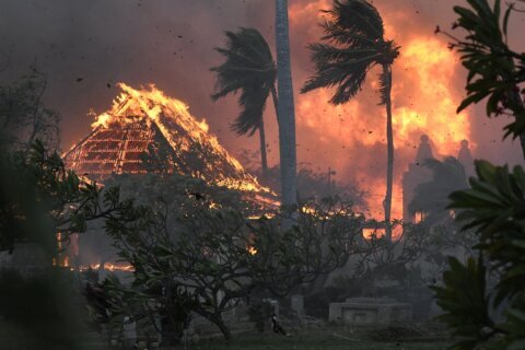 Parties in lawsuits seeking damages for Maui fires reach $4B global settlement, court filings say