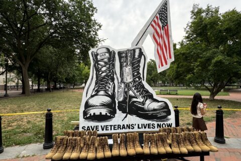 DC art installation near the White House calls for more treatments for veterans suffering from PTSD