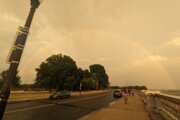 Severe storms enter DC region amid sweltering heat, bringing damaging winds and torrential rain
