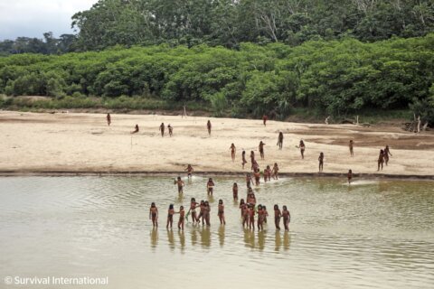 Group says photos of reclusive tribe on Peru beach show logging concessions are ‘dangerously close’