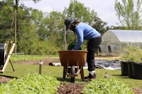 Major funders bet big on rural America and ‘everyday democracy’