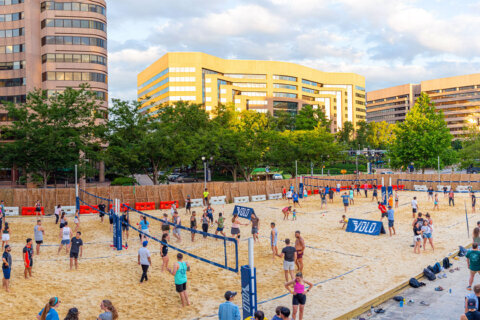 Beach volleyball (and pickleball soon) in the middle of Crystal City