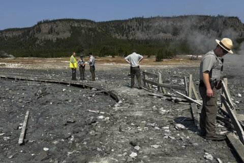 Surprise blast of rock, water and steam sends dozens running for safety in Yellowstone