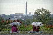 Debby's deluge: Post Tropical Cyclone continues downpour on DC area