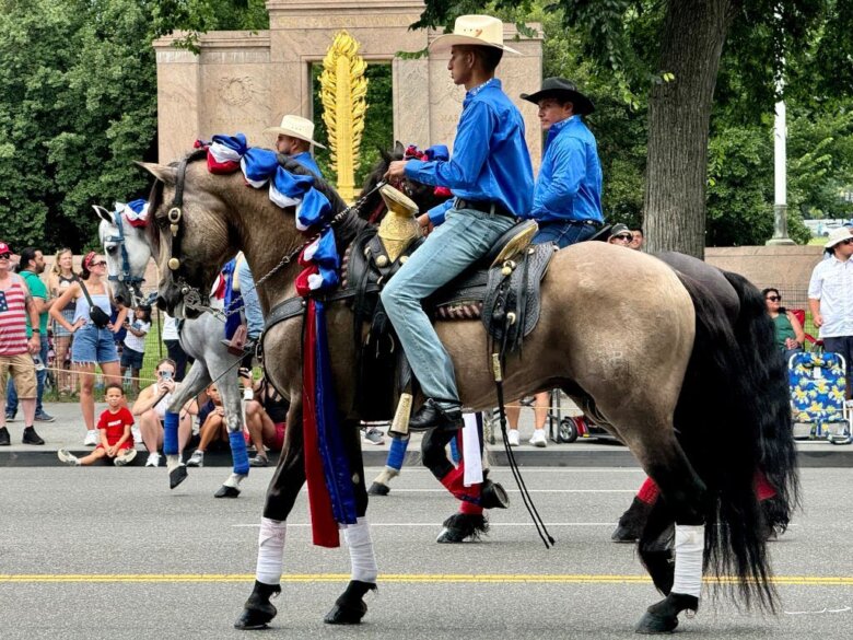 a man on a horse decorated for Independence Day