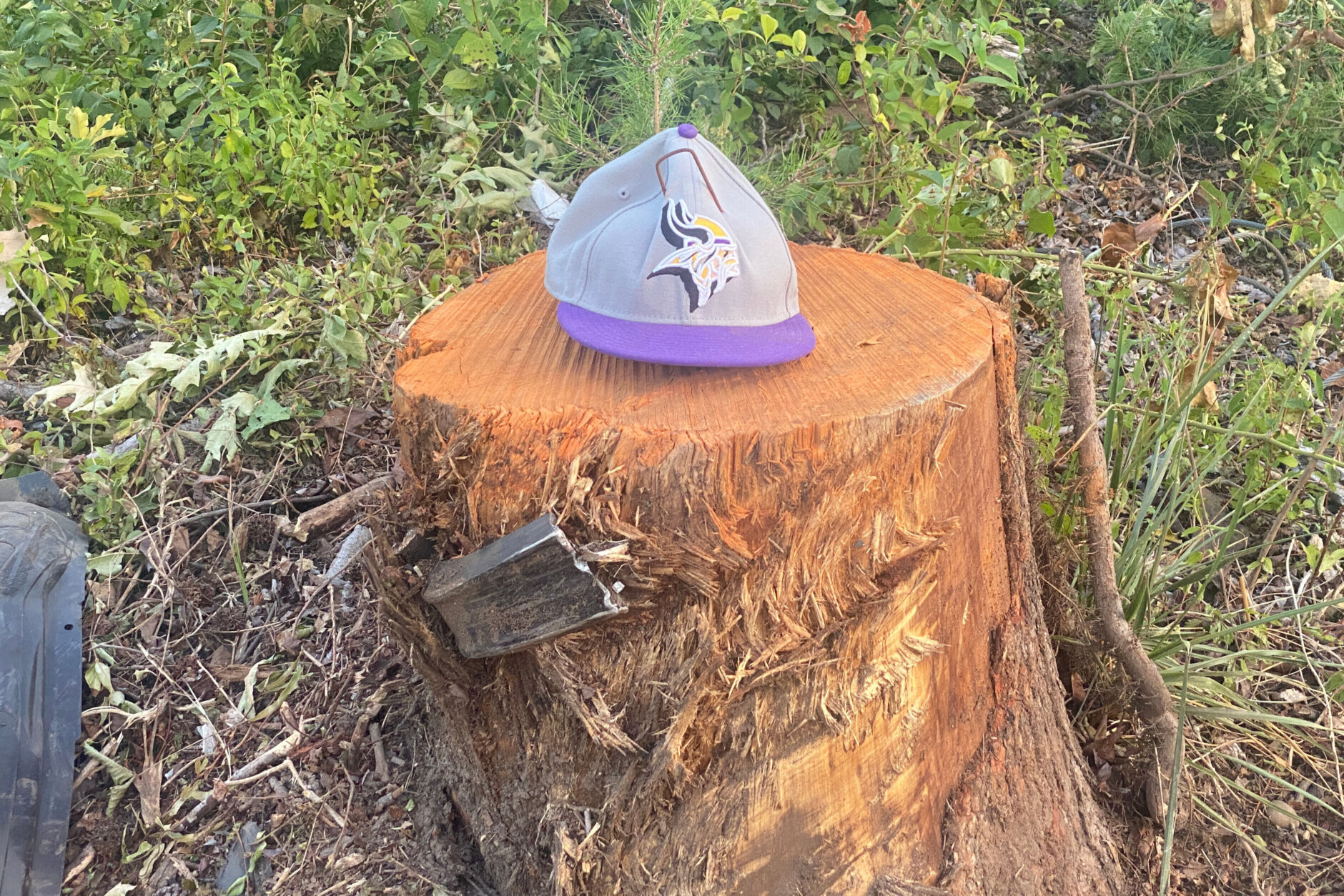 Hat sitting on tree stump