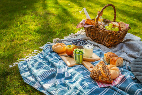 How to keep your summer picnic foods safe