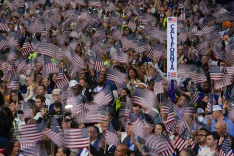 Harris' big moment, Dems' rising stars, Gaza protesters shut out. Takeaways from DNC's last night