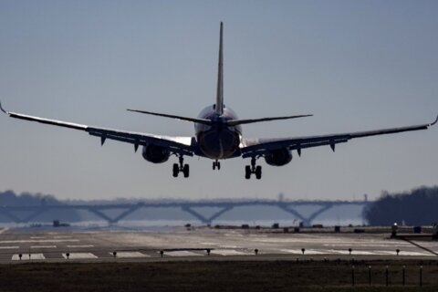 Dulles, Reagan National airports set travel records in 2024