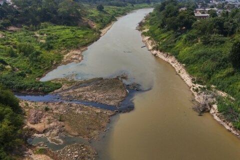 Severe drought has returned to the Amazon. And it’s happening earlier than expected