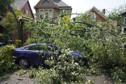 Tornado briefly sweeps into Buffalo, damaging buildings and scattering tree limbs