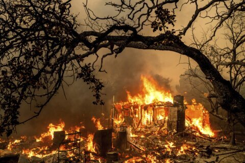 Man accused of starting destructive California wildfire by throwing firework out car window