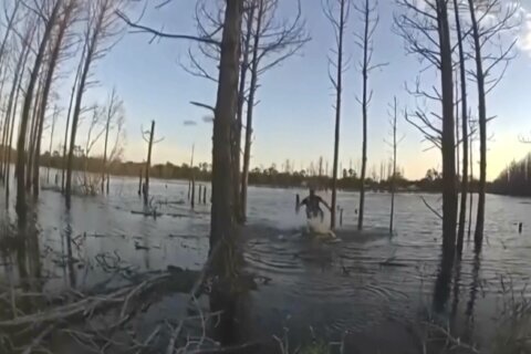 Florida sheriff’s deputy rescues missing 5-year-old autistic boy from pond