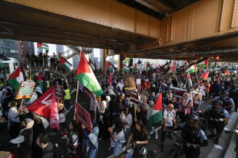 Pro-Palestinian demonstrators voice opposition to war in Gaza as delegates leave DNC