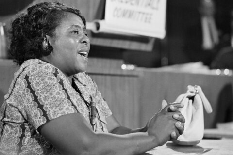 Fannie Lou Hamer rattled the Democratic convention with her 'Is this America?' speech 60 years ago