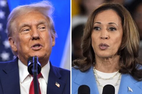 Raise taxes on the rich or cut them? Harris, Trump differ on how to boost the US economy