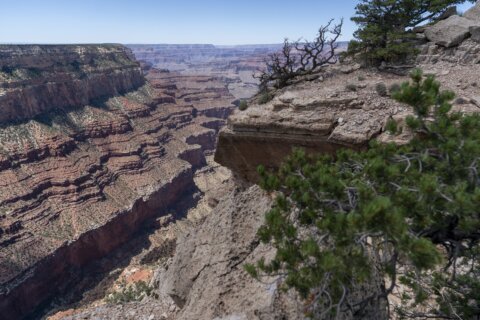 Grand Canyon's only water pipeline fails, prompting shutdown of overnight hotel stays