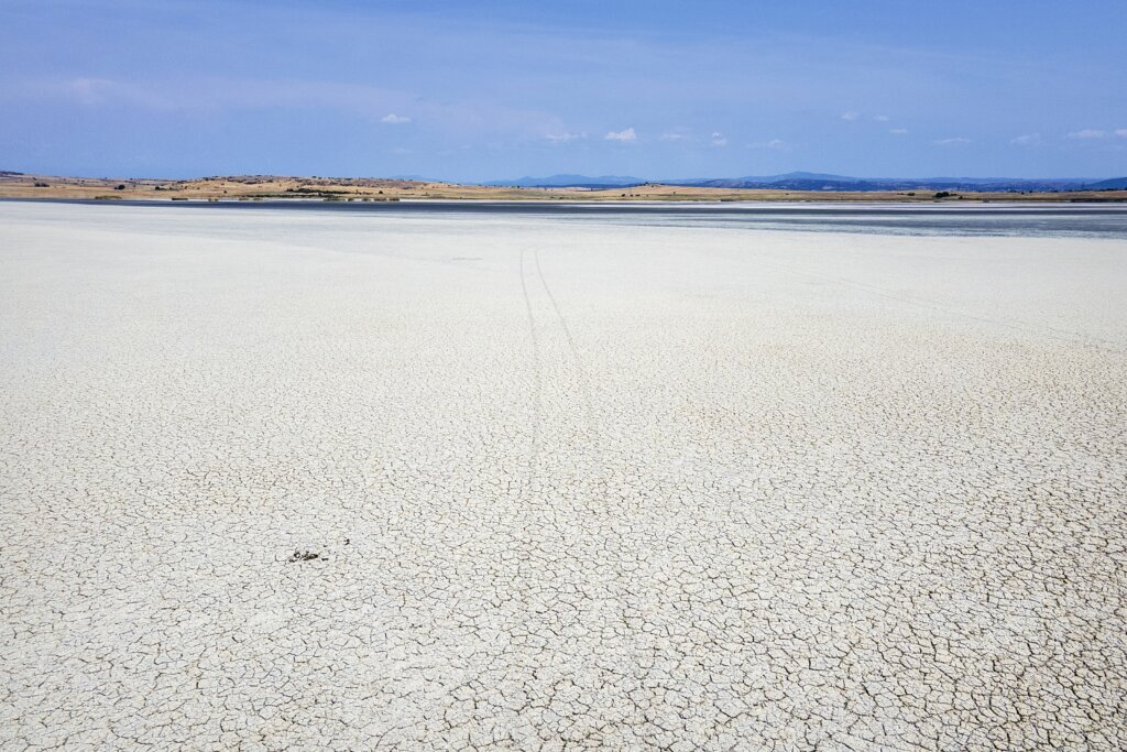 Drying lakes and thirsty trees: In drought-hit Greece, water trucks are keeping crops alive