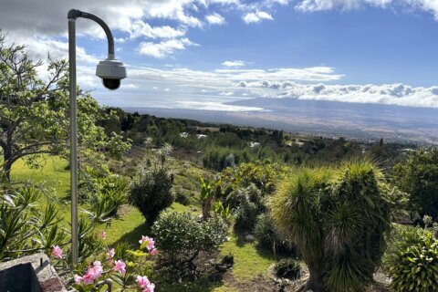 After fire struck Maui's Upcountry, residents of one town looked to themselves to prep for next one