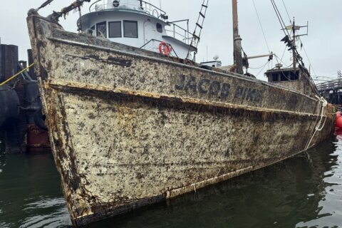 Before lobster, Maine had a thriving sardine industry. A sunken ship reminds us of its storied past