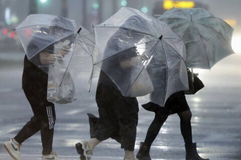 Tropical storm Shanshan lashes Japan with torrential rains and strong winds on its crawl northeast