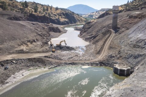 Workers breach key Klamath dams, allowing salmon to swim freely for the first time in a century