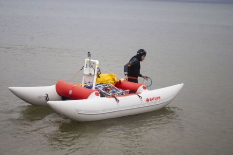 Marathon swimmer says he quit Lake Michigan swim after going in wrong direction with dead GPS