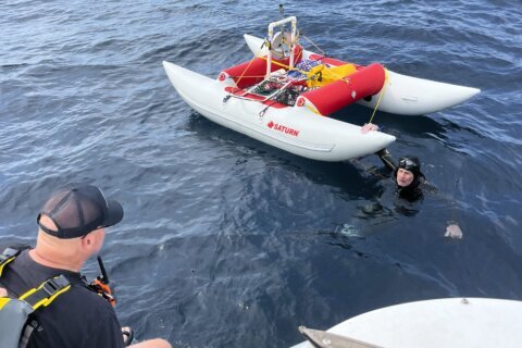 Ultra swimmer abandons attempt to cross Lake Michigan again