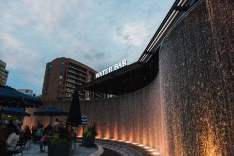 National Landing hosts ‘Fridays at the Fountain’ for final time of the summer in Crystal City