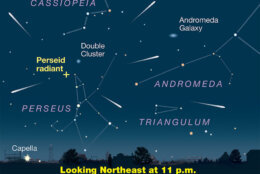 Illustration of the Perseid meteor