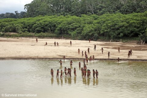 Reclusive tribe attacks loggers suspected of encroaching on their land in Peru’s Amazon