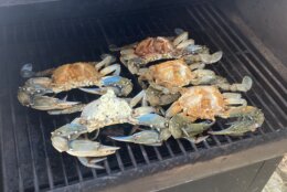 Maryland blue crabs on a grill