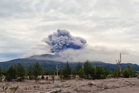 Volcano erupts after powerful earthquake in Russia's Far East and scientists warn of a stronger one