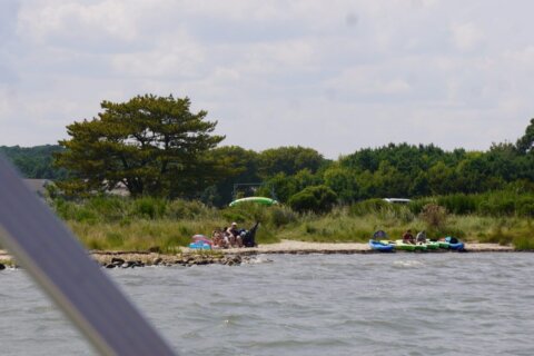 Maryland state senator pushes General Assembly to keep state's coastal bays in mind