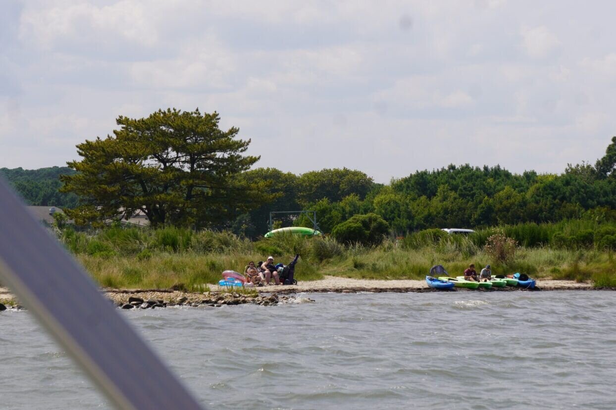 Maryland state senator pushes General Assembly to keep state’s costal bays in mind – WTOP News