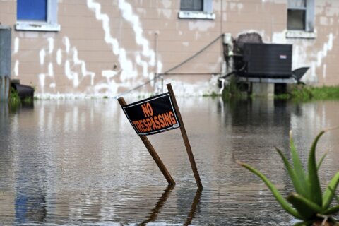 Tropical Storm Debby is expected to send flooding to the Southeast. Here’s how much rain could fall