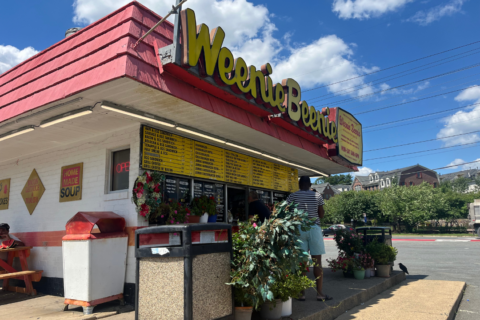 A real wiener: Arlington’s ‘Weenie Beenie’ celebrates milestone