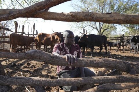 He once poached the wild animals of Zimbabwe. Now he preaches against it