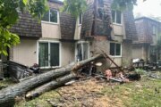 Debby cleanup: Tree topples into house in Montgomery Co.; heavy rain leads to major flooding in Annapolis